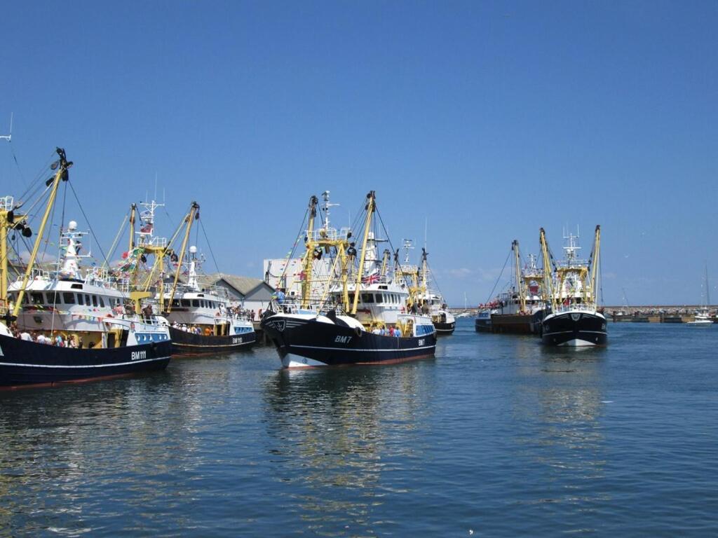 A Modern And Cosy Apartment Just Yards From Brixham'S Bustling Harbourside ภายนอก รูปภาพ